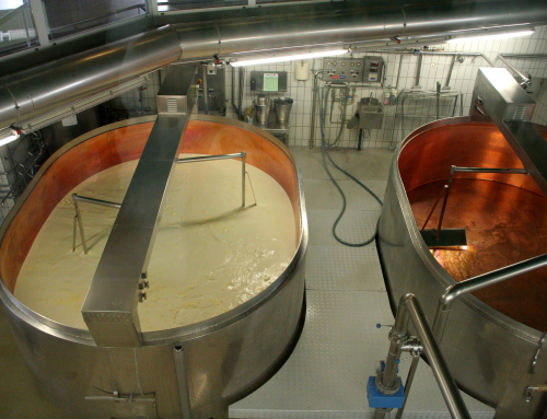 Case study: IT-SCM for an international cheese manufacturer